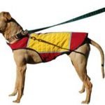 Dog Cooling Vest