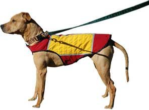 Dog Cooling Vest